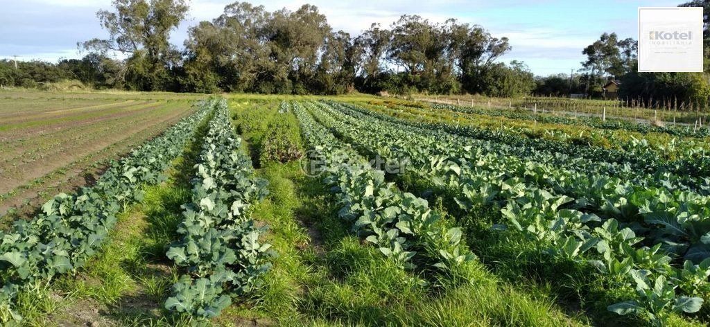 Área com 4,695 hectares à venda, Av. do Lami - Belem Novo — foto 5