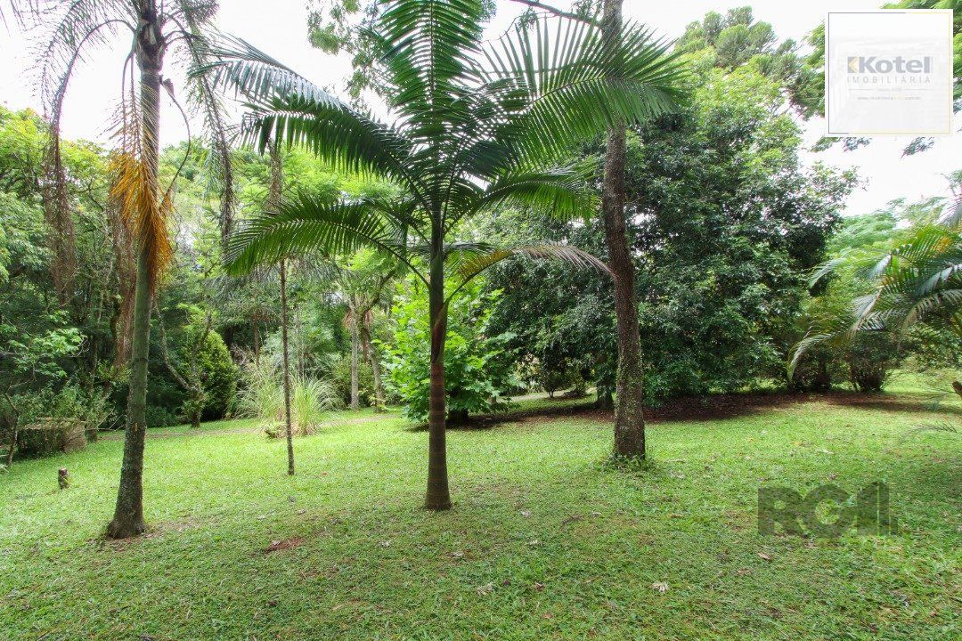 Sitio com casa com 3 quartos, suite, em terreno com 7.320m² - Belem Velho