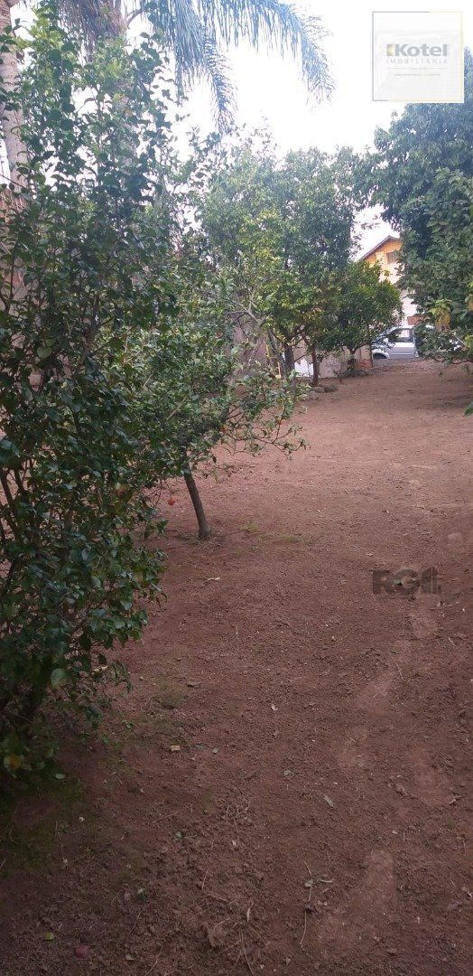 Terreno com 218m² na Lomba do Pinheiro em Porto Alegre. — foto 5