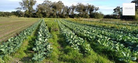 Área com 4,695 hectares à venda, Av. do Lami - Belem Novo — foto 4