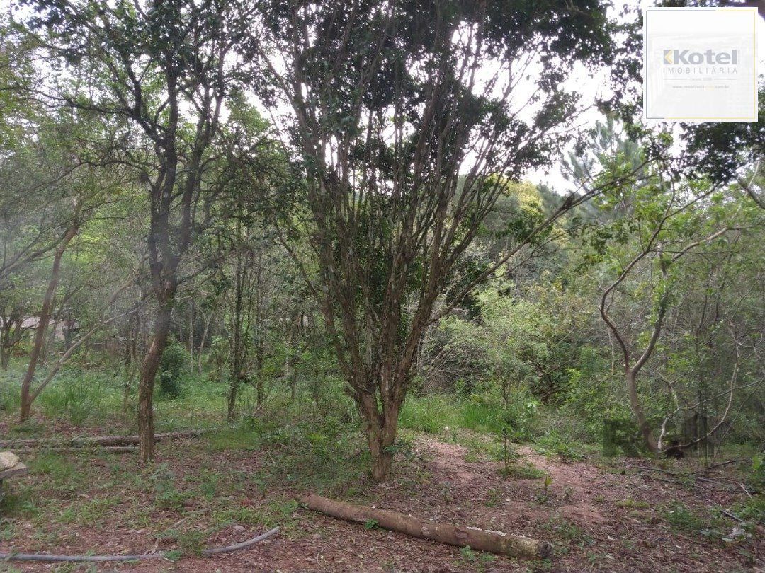 Área 4,69ha | Bairro Belém Velho — foto 5