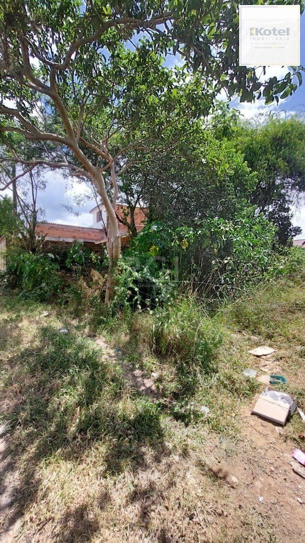 Terreno à venda, Vila Nova - Porto Alegre
