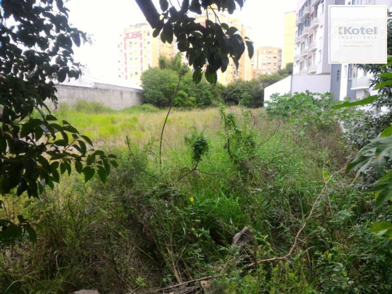 Terreno para Venda - 0m², 0 dormitórios, Tristeza — foto 2