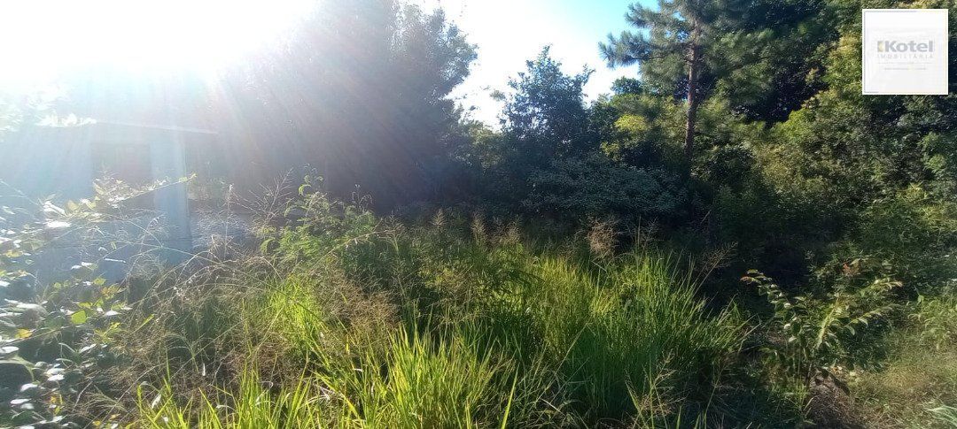 Terreno à venda, Nonoai - Porto Alegre — foto 4