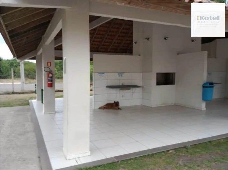 Apartamento 2 dormitórios - bairro Chapéu do Sol