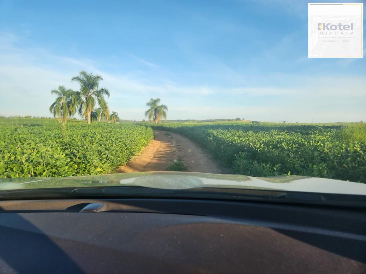 Fazenda apenas 50 quilômetros de PORTO ALEGRE — foto 2