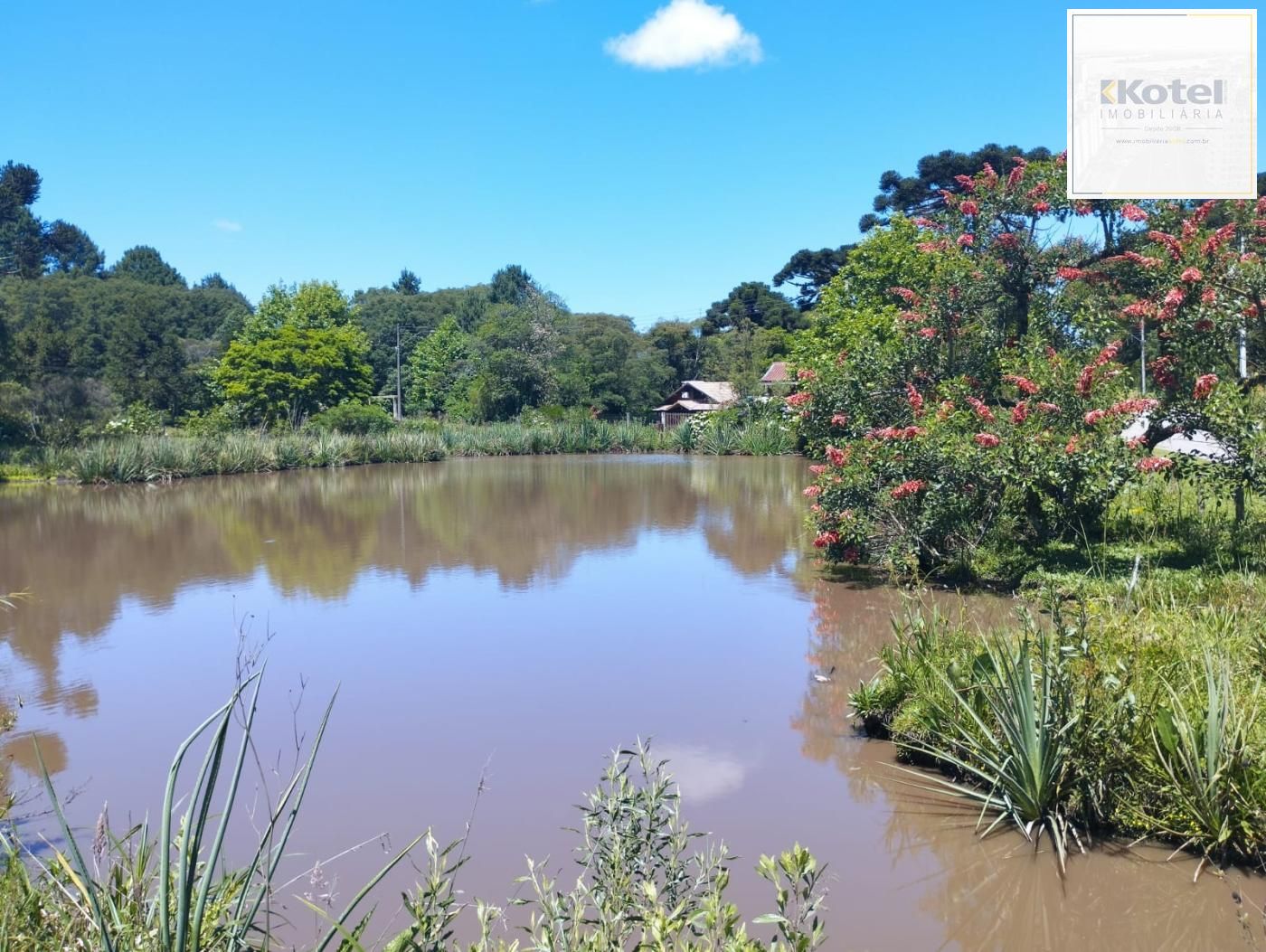 Lote Alto Padrão em São Francisco de Paula – 600m² com Vista para as Montanhas — foto 3