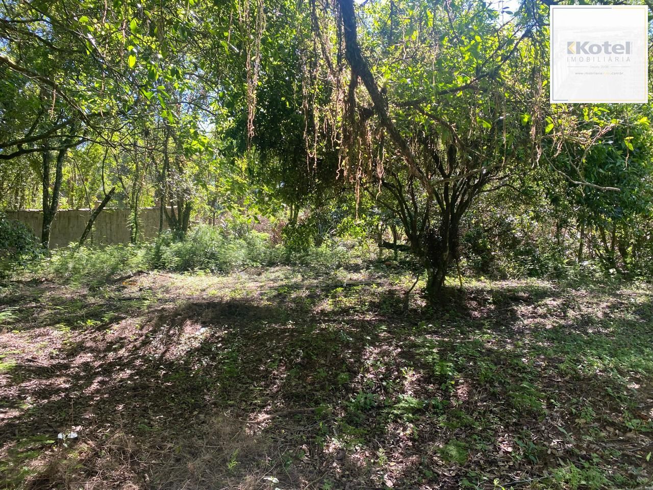 Excelente terreno! — foto 4