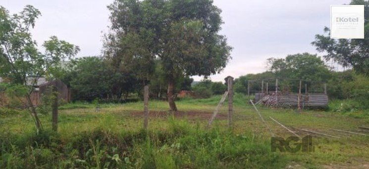 Terreno com 1.000m² , dimensões de 20x50, — foto 2