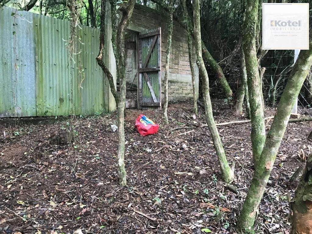 Terreno à venda, Belém Velho - Porto Alegre — foto 5
