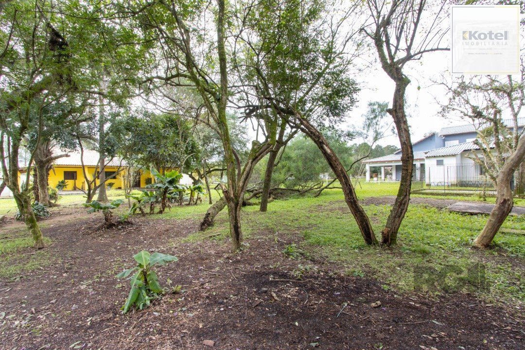 Sítio 3 quartos à venda, 350m², Lageado - Porto Alegre — foto 5