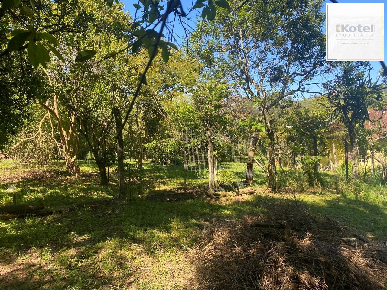 Excelente terreno! — foto 5