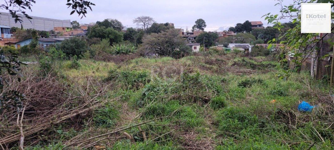Terreno para Venda - 3.037m² no bairro Campo Novo — foto 4