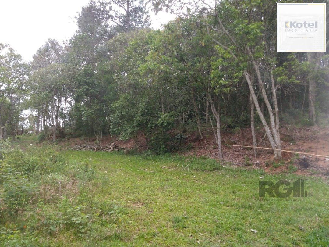 Área 4,69ha | Bairro Belém Velho — foto 4