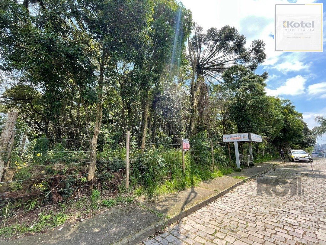 Terreno à venda, Marechal Floriano - Caxias do Sul — foto 5
