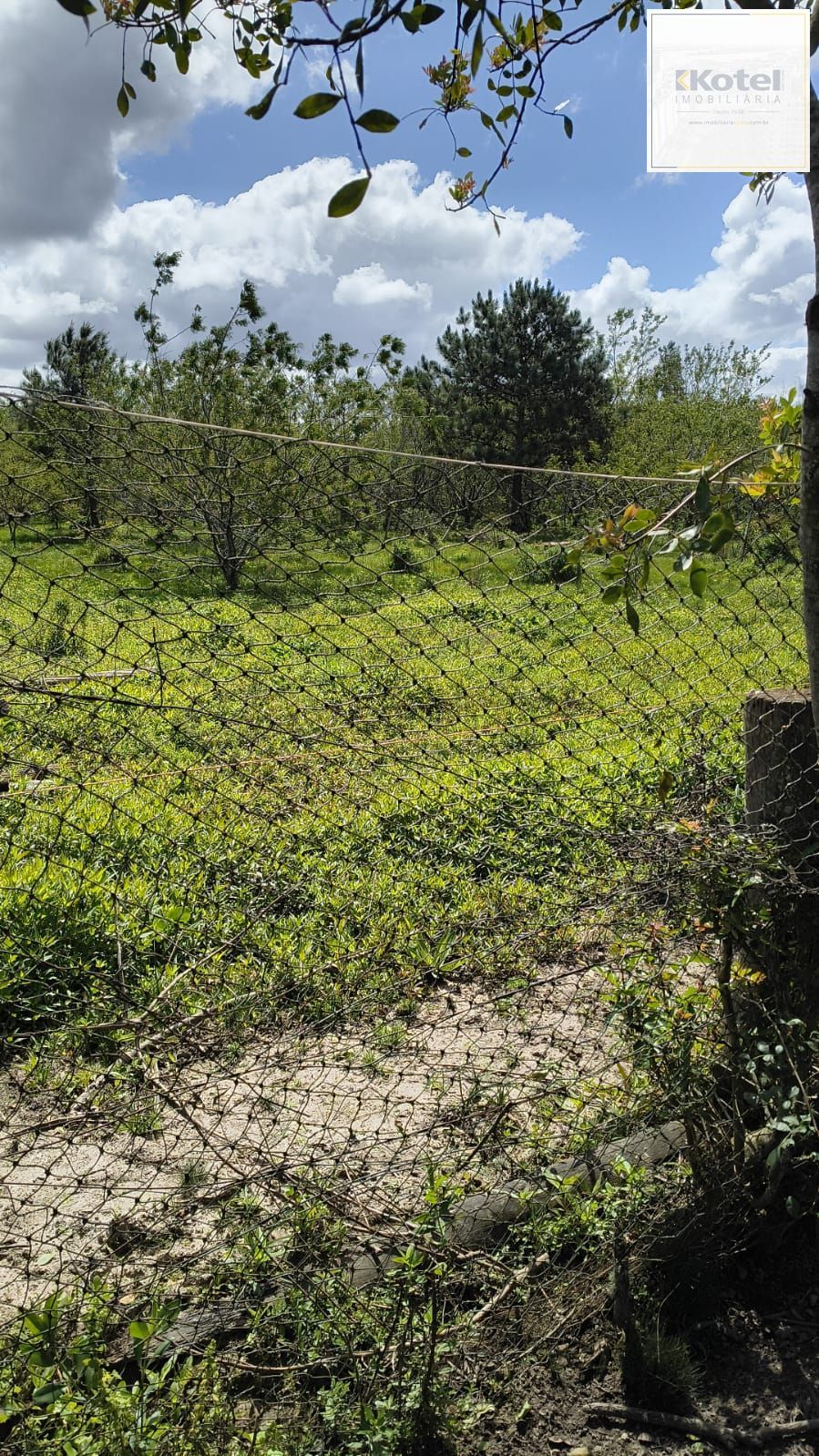 Terreno, à venda, Lami - Porto Alegre — foto 4