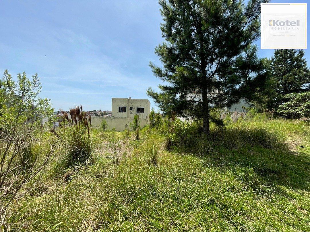 Terreno à venda no bairro Guarujá, com área total de 332,91m² — foto 5