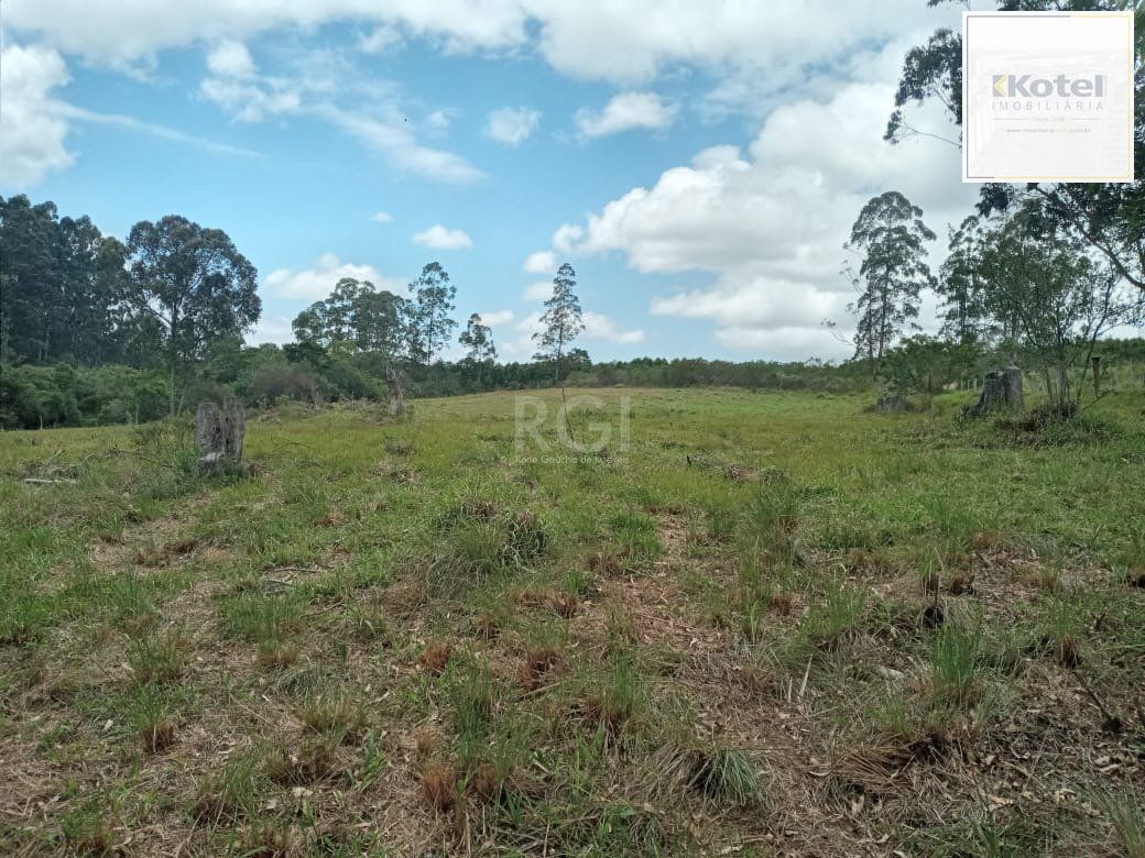 SITIO COM 12 HECTARES EM GUAIBA (RS)