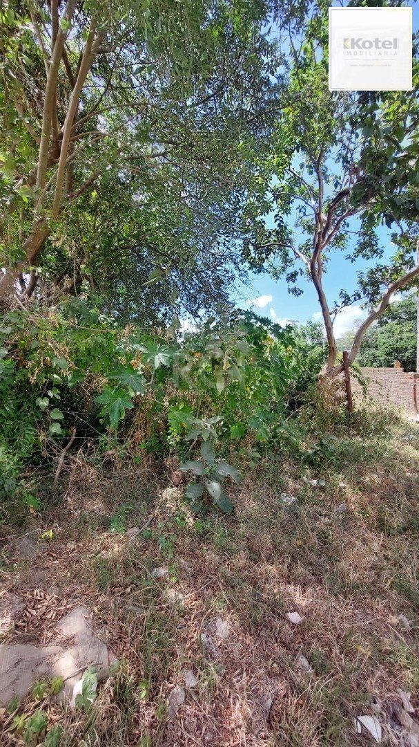 Terreno à venda, Vila Nova - Porto Alegre