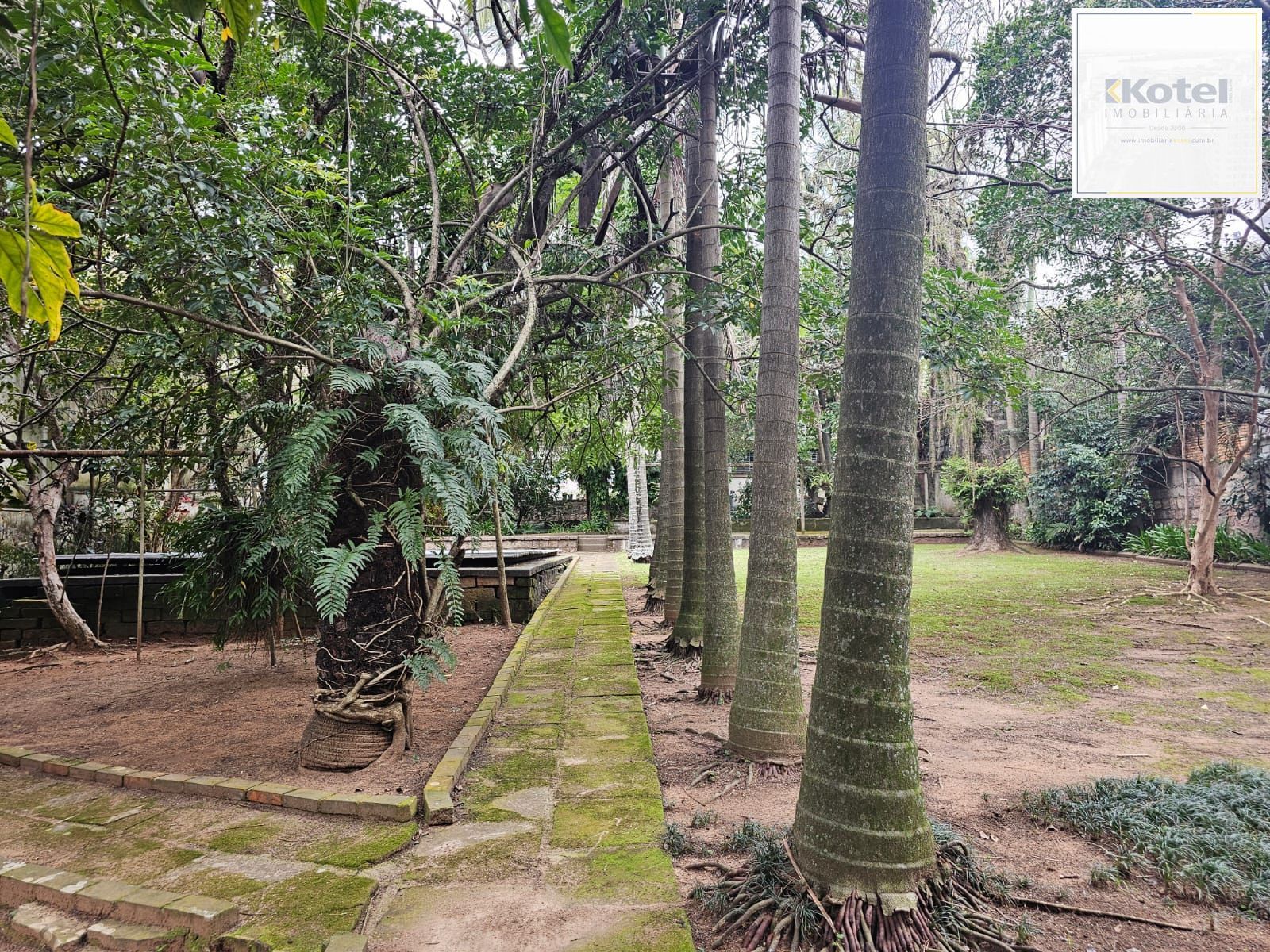 Terreno próprio para construção de condomínio de casas ou apartamentos — foto 4