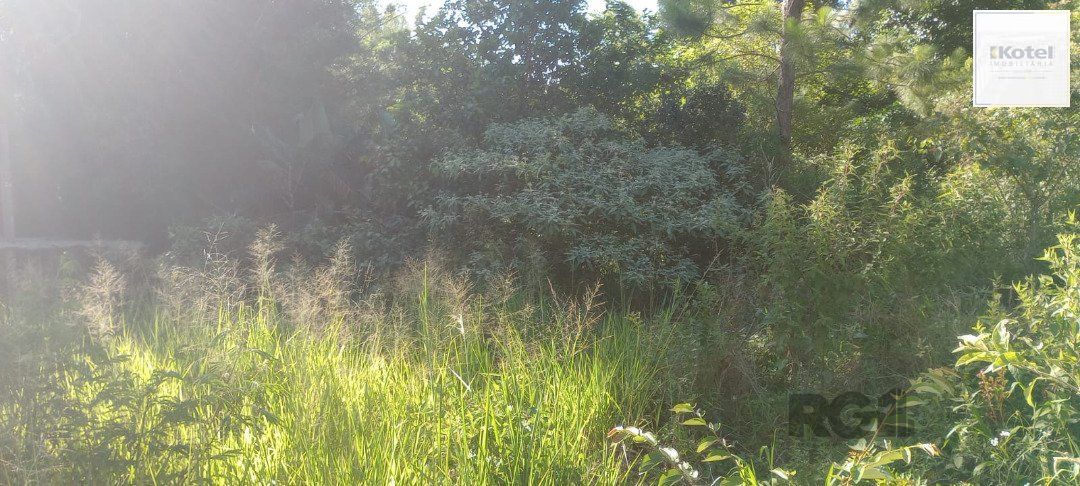 Terreno à venda, Nonoai - Porto Alegre — foto 5