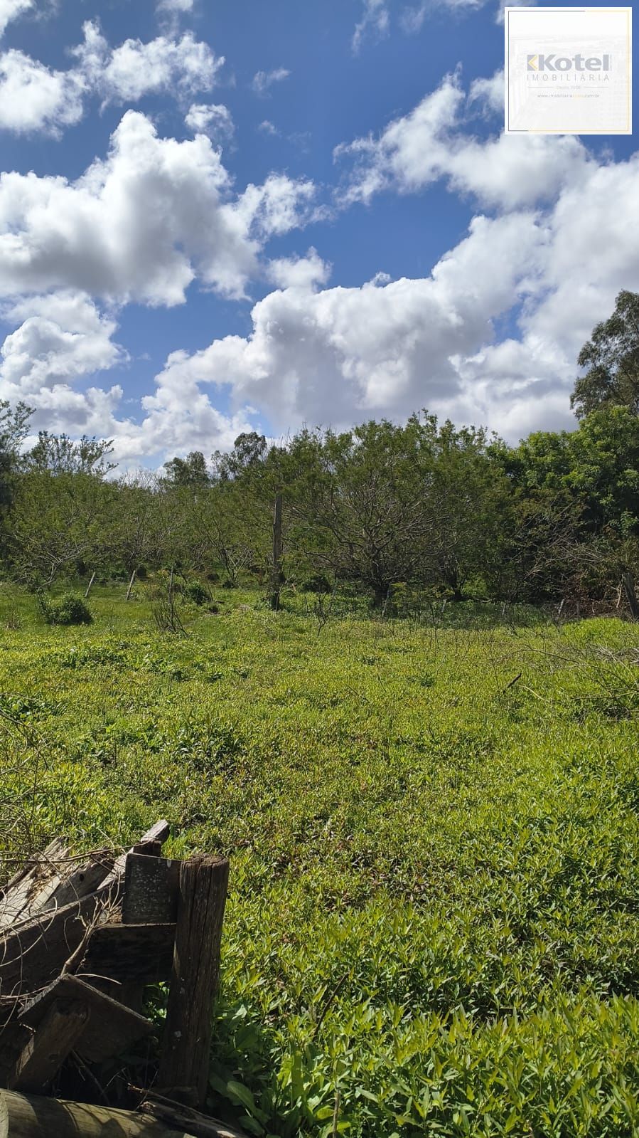 Terreno, à venda, Lami - Porto Alegre — foto 5