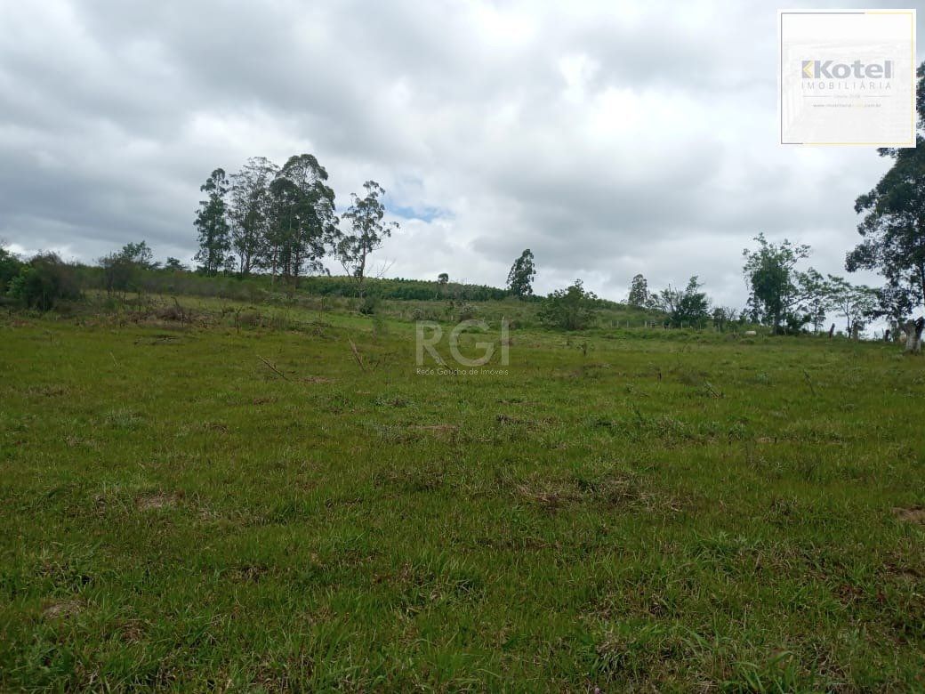 SITIO COM 12 HECTARES EM GUAIBA (RS)