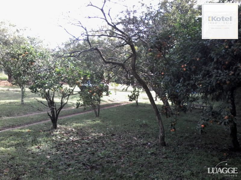 Terreno para Venda - 2460m² no bairro Restinga — foto 4