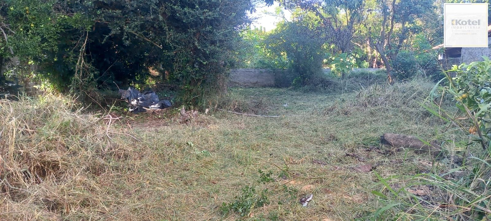 Terreno à venda, Ipanema - Porto Alegre — foto 2