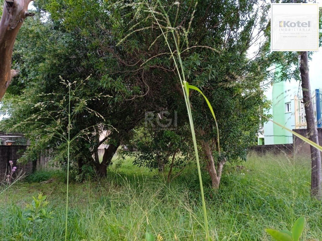 Terreno para Venda - 0m², 0 dormitórios, Tristeza — foto 3