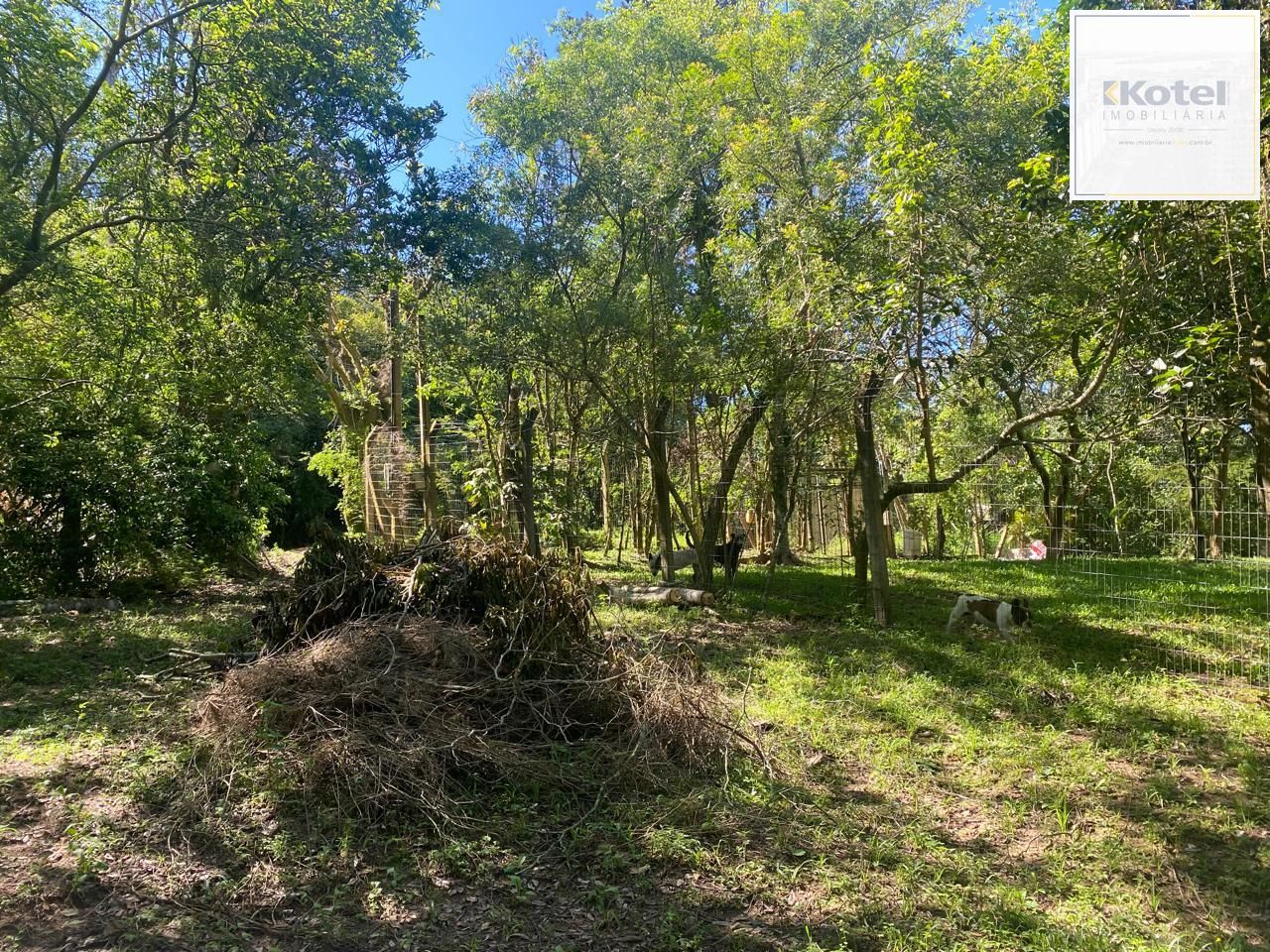 Excelente terreno! — foto 3