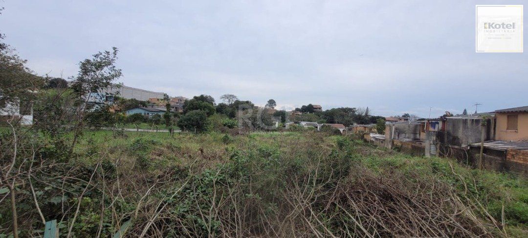 Terreno para Venda - 3.037m² no bairro Campo Novo — foto 3