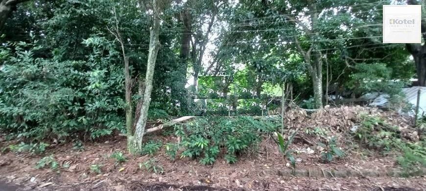 Terreno à venda, Camaquã - Porto Alegre — foto 3