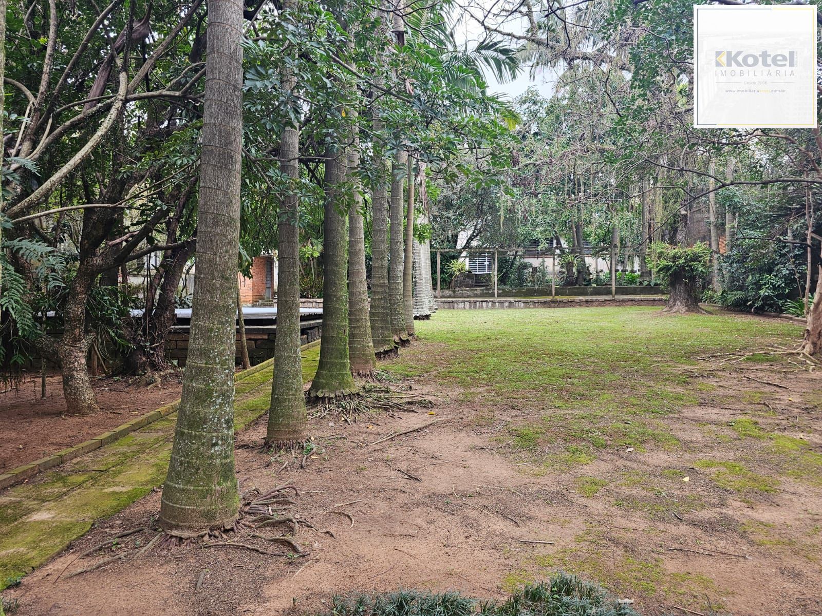 Terreno próprio para construção de condomínio de casas ou apartamentos — foto 3
