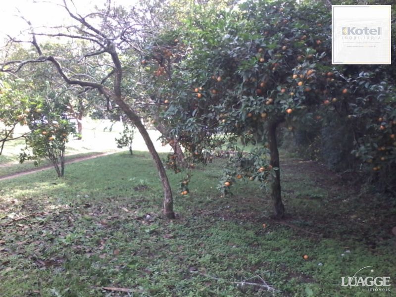 Terreno para Venda - 2460m² no bairro Restinga — foto 3
