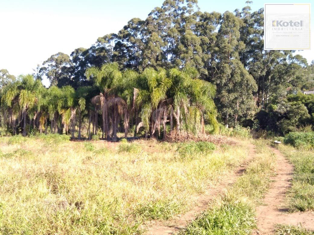 Area para Venda - 36.900m² - Campo Novo — foto 3