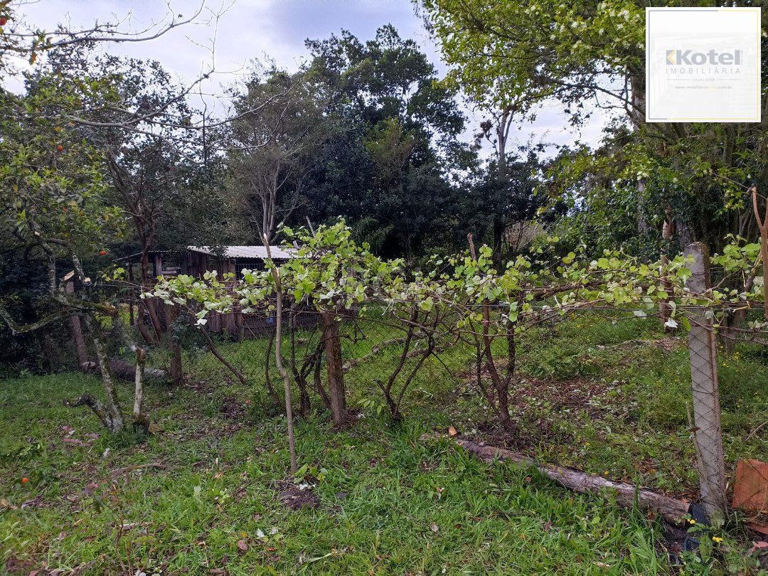 Sítio para Venda - 3330m², 3 dormitórios, sendo 1 suites, Itapuã