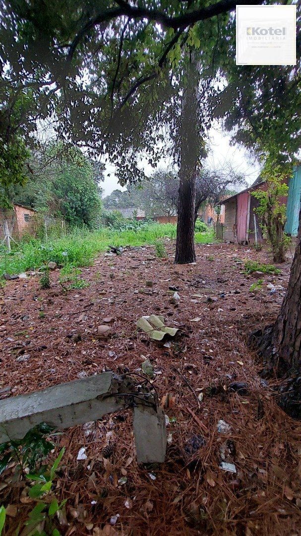 Terreno à venda, Liberdade - Esteio — foto 5