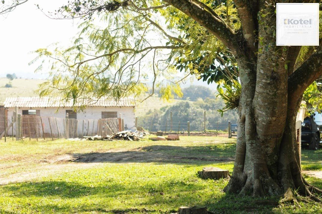 Sítio 3 quartos à venda, 6000m², Estância Grande - Viamão