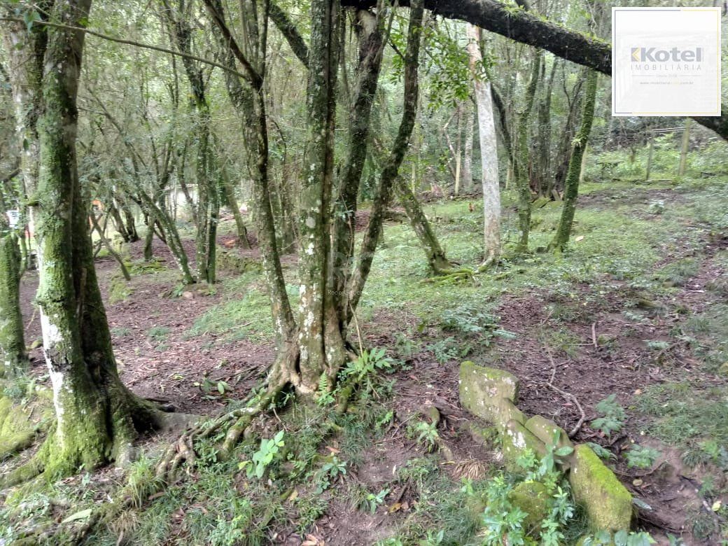 Sítio para Venda - 13725m², 2 dormitórios, sendo 2 suites, 4 vagas - Ponta Grossa — foto 3