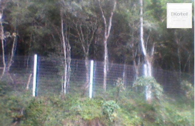 Terreno para Venda - 5100m², Ponta Grossa — foto 3