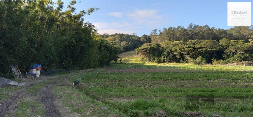 Área com 4,695 hectares à venda, Av. do Lami - Belem Novo — foto 3