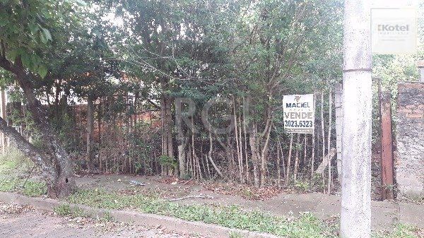 Terreno para Venda - 0m², 0 dormitórios, Vila Nova — foto 2
