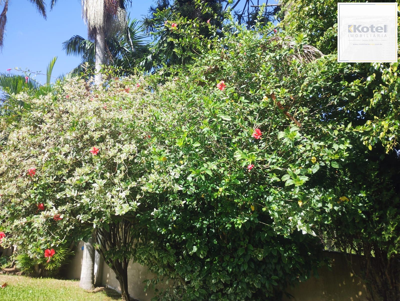 Casa 3 quantos com suíte, espaço gourmet, na Tristeza. — foto 3