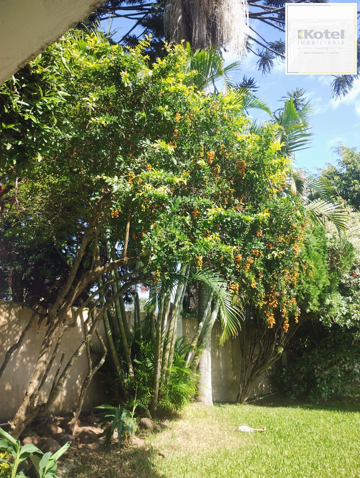 Casa 3 quantos com suíte, espaço gourmet, na Tristeza. — foto 4