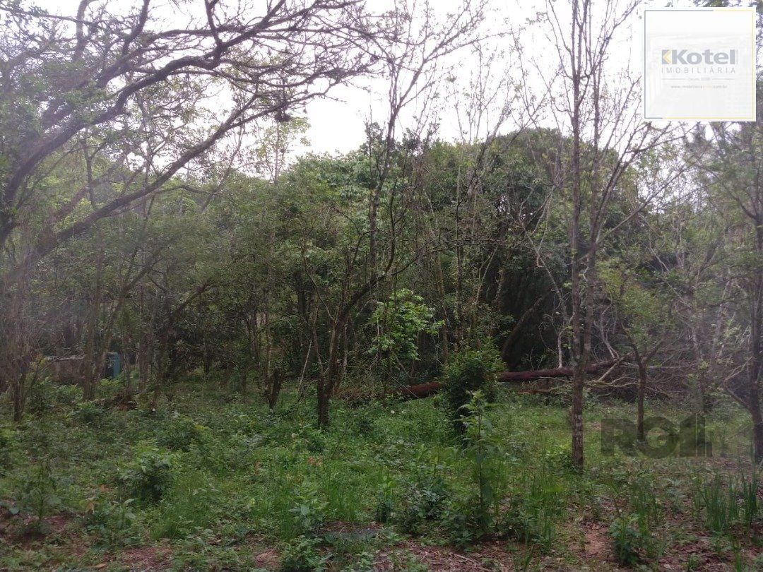 Area 6,69ha | Bairro Belem Velho — foto 5