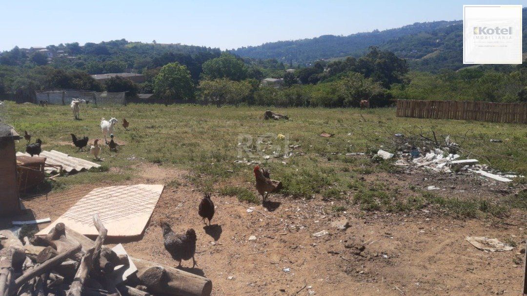 Sítio para Venda - 2658m², 0 dormitórios, Vila Nova — foto 3
