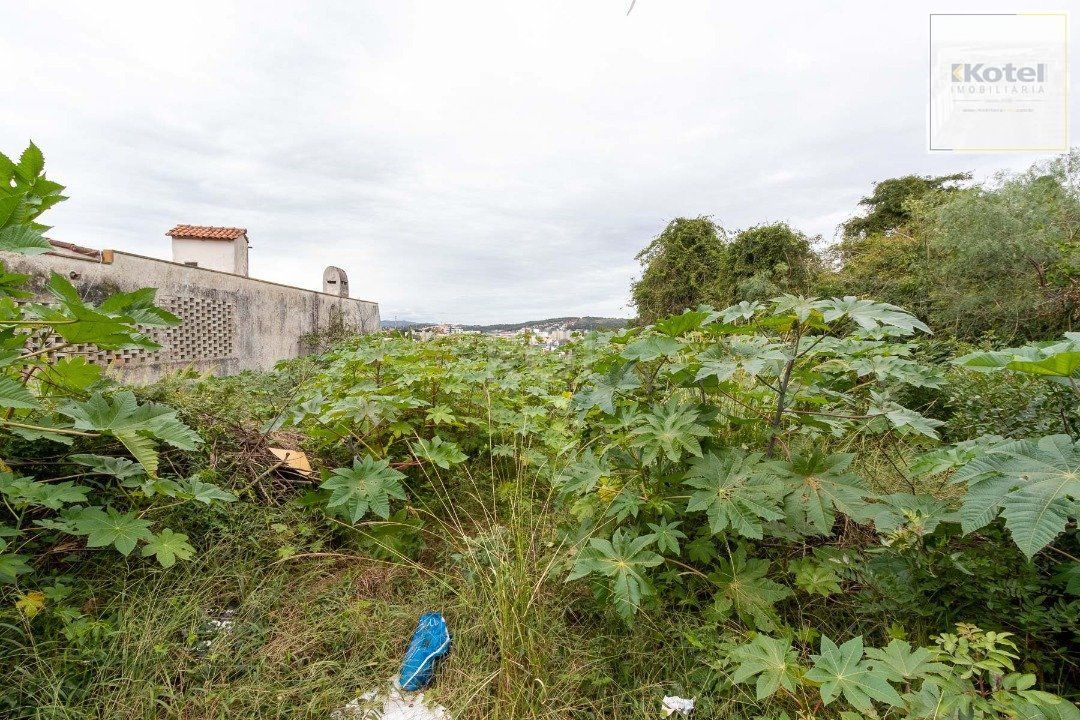 Terreno para Venda - 0m², 0 dormitórios, Vila Assunção — foto 4