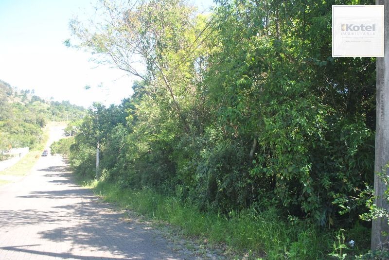 Terreno para Venda - 2611,50m² no bairro Espírito Santo — foto 5
