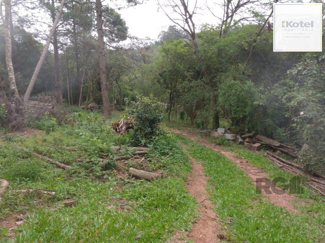 Área 4,69ha | Bairro Belém Velho — foto 3